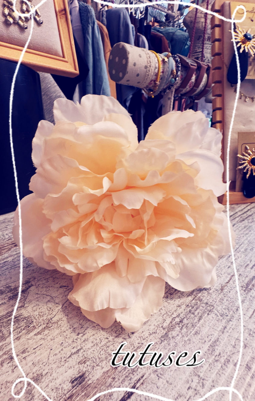 FLOR FLAMENCA